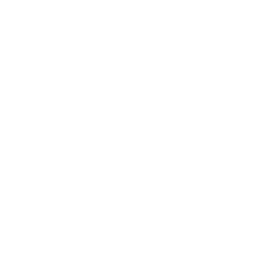 logo-aston-martin-blanc