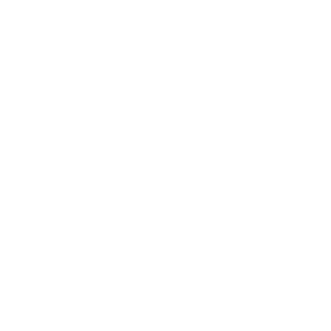 logo-bouillet-lyon-tokyo-blanc