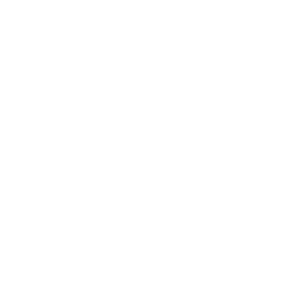 logo-evolem-blanc